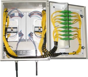 przelacznica nascienna